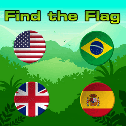 Find the Flag game cover