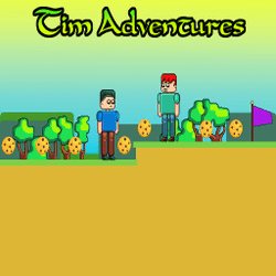 Tim Adventures game cover